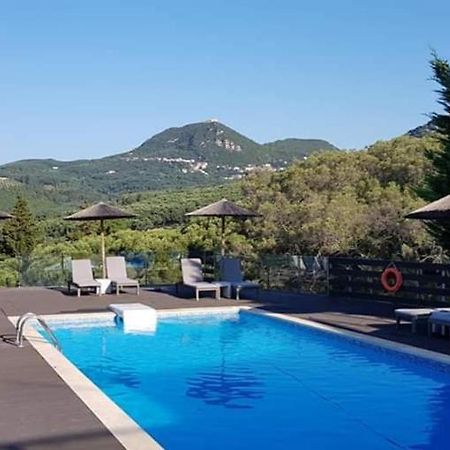 Diogenis Parga Studios المظهر الخارجي الصورة