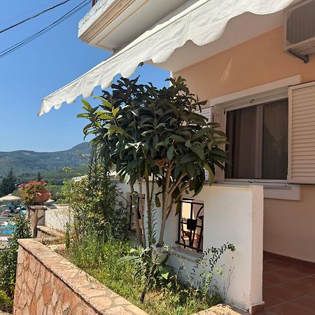 Diogenis Parga Studios المظهر الخارجي الصورة