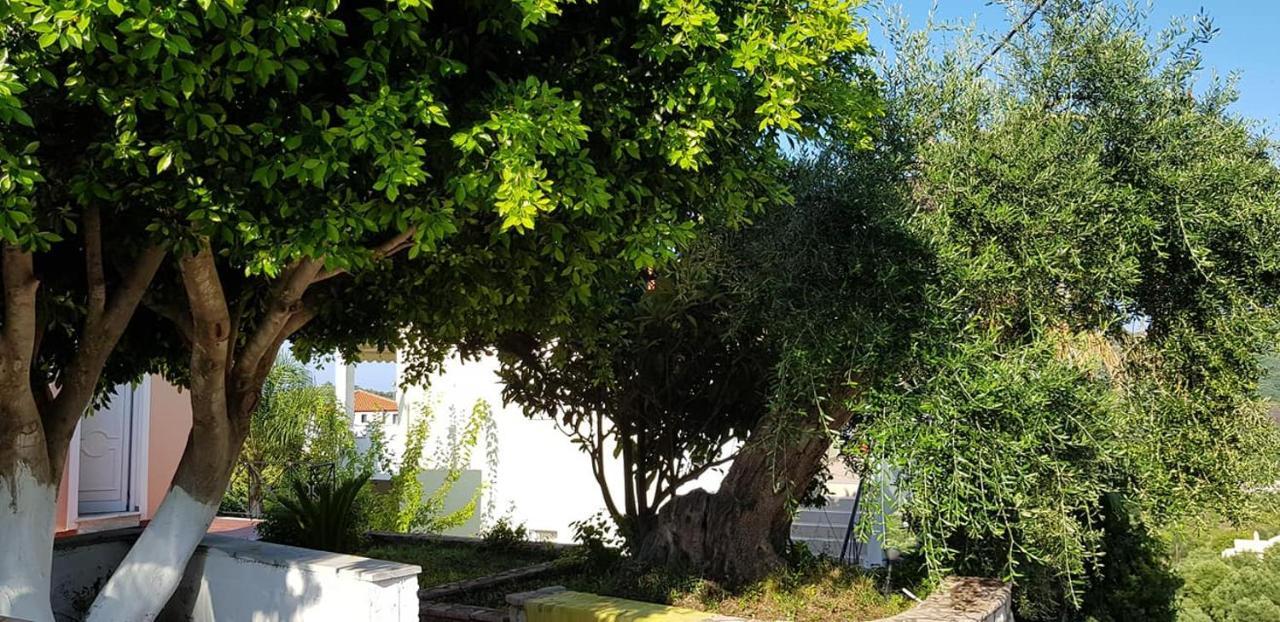 Diogenis Parga Studios المظهر الخارجي الصورة
