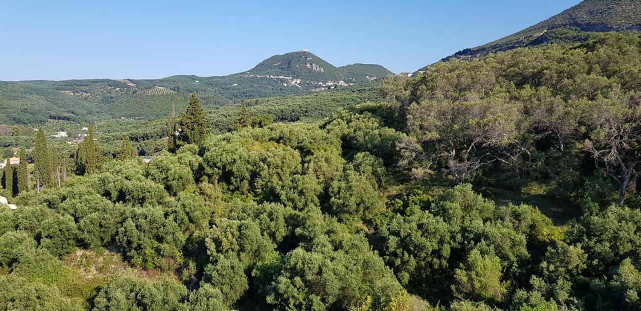 Diogenis Parga Studios المظهر الخارجي الصورة