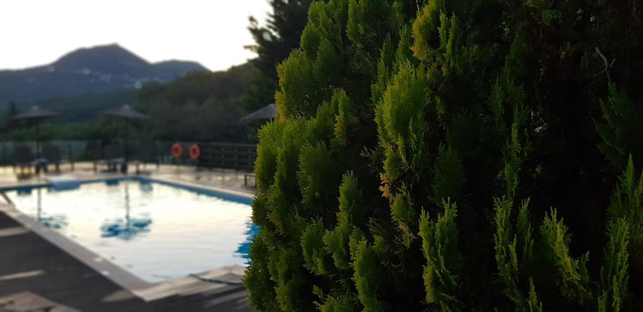 Diogenis Parga Studios المظهر الخارجي الصورة